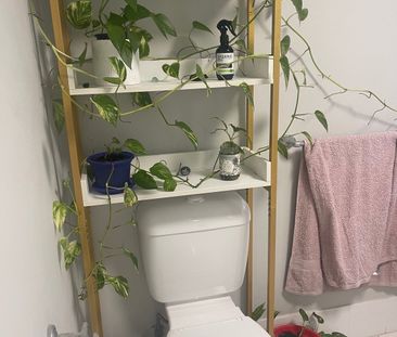 Surfers Paradise - Photo 3