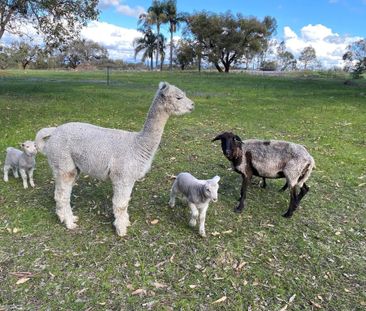 Forrestdale - Photo 5