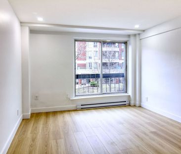 1 Cote-Sainte-Catherine, Montréal, QC - Photo 5