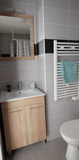 Location Appartement 1 pièce 21m² ISLE 87170 - Photo 1