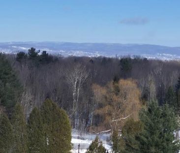 2 Mois Payé Grand et magnifique appartement condo 3 1/2 en CESSION ... - Photo 4