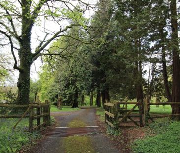 Rumleigh, Bere Alston, Yelverton - Photo 2