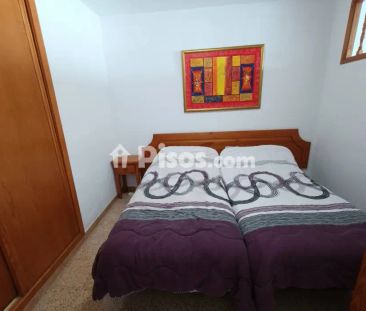 Apartamento en alquiler en Avenida Alf.provisionales, 209 - Photo 5