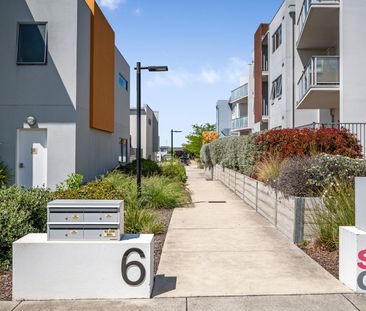 3/6 Sapling Street, Harrison ACT 2914 - Townhouse For Rent | Domain - Photo 3