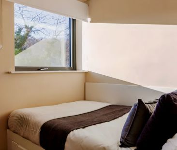 Silver Studio - Photo 4