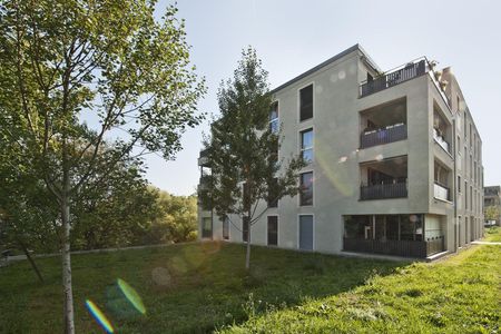 Wohnen über Allschwil - Foto 5