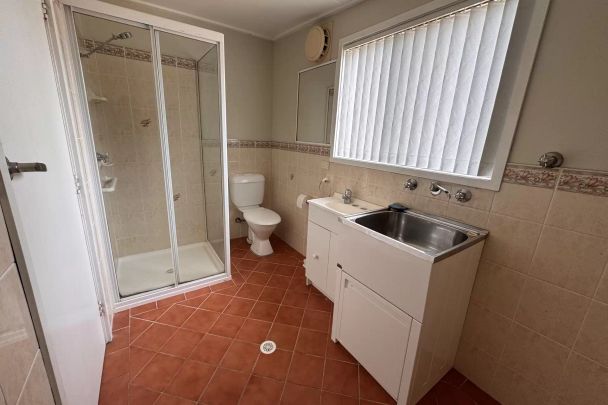 Catch of the Day - Photo 1