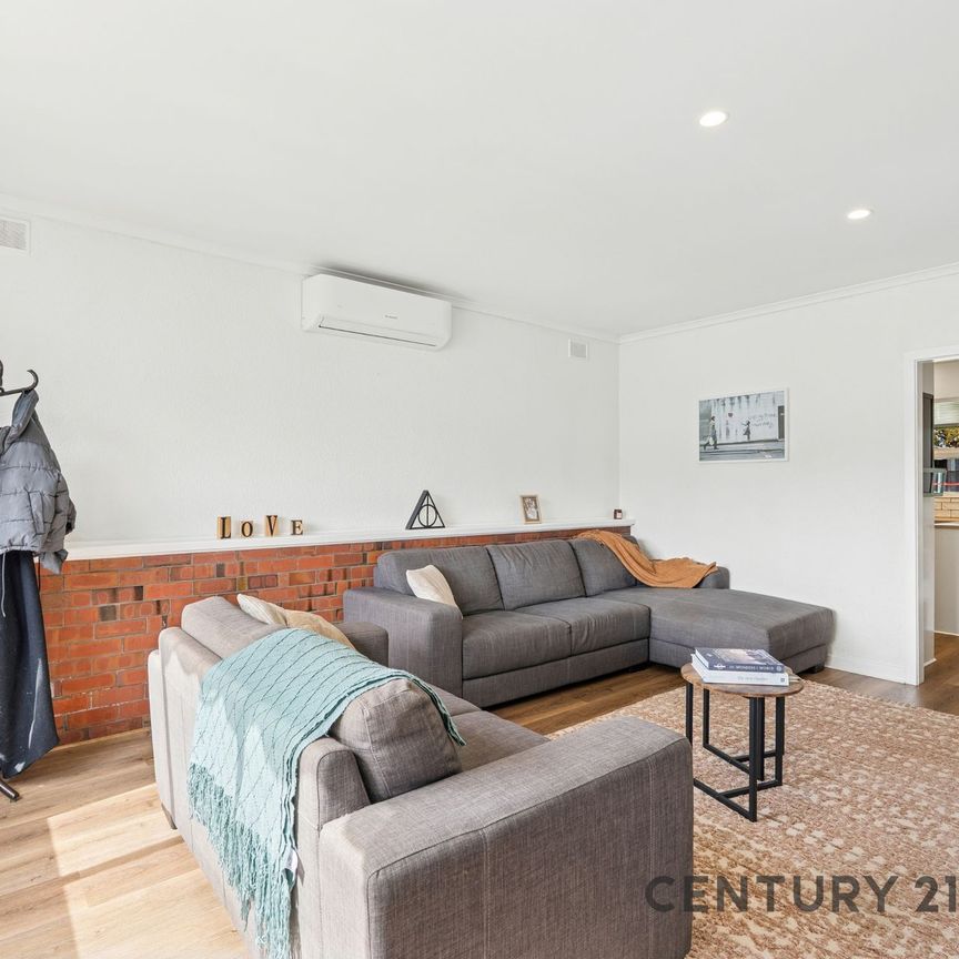 Modern Updates and Big Backyard Living! - Photo 1