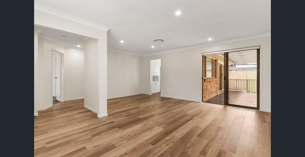 Family Entertainer - Photo 1