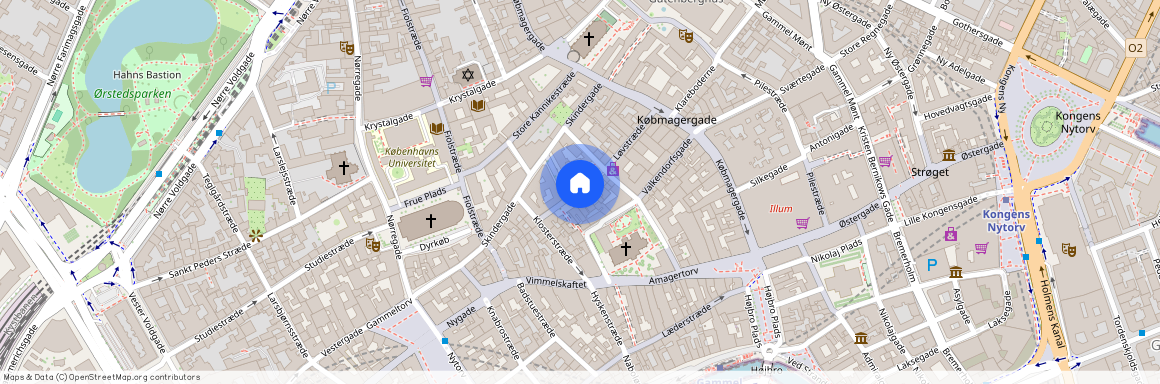 Gråbrødretorv 1154 København K