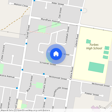 24 Stonham Street, Forbes