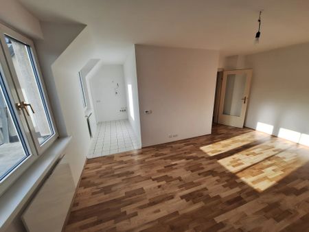 Supersüß und grün und sonnig - Foto 4