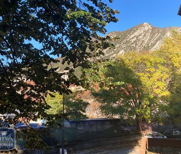 Location Appartement 2 pièces 36m² GRENOBLE 38000 - Photo 6