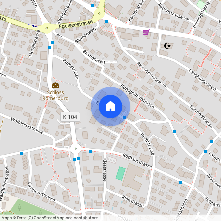 8280, Kreuzlingen, Burgstrasse