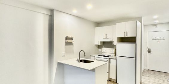 Studio - Ontario #103 - Photo 3