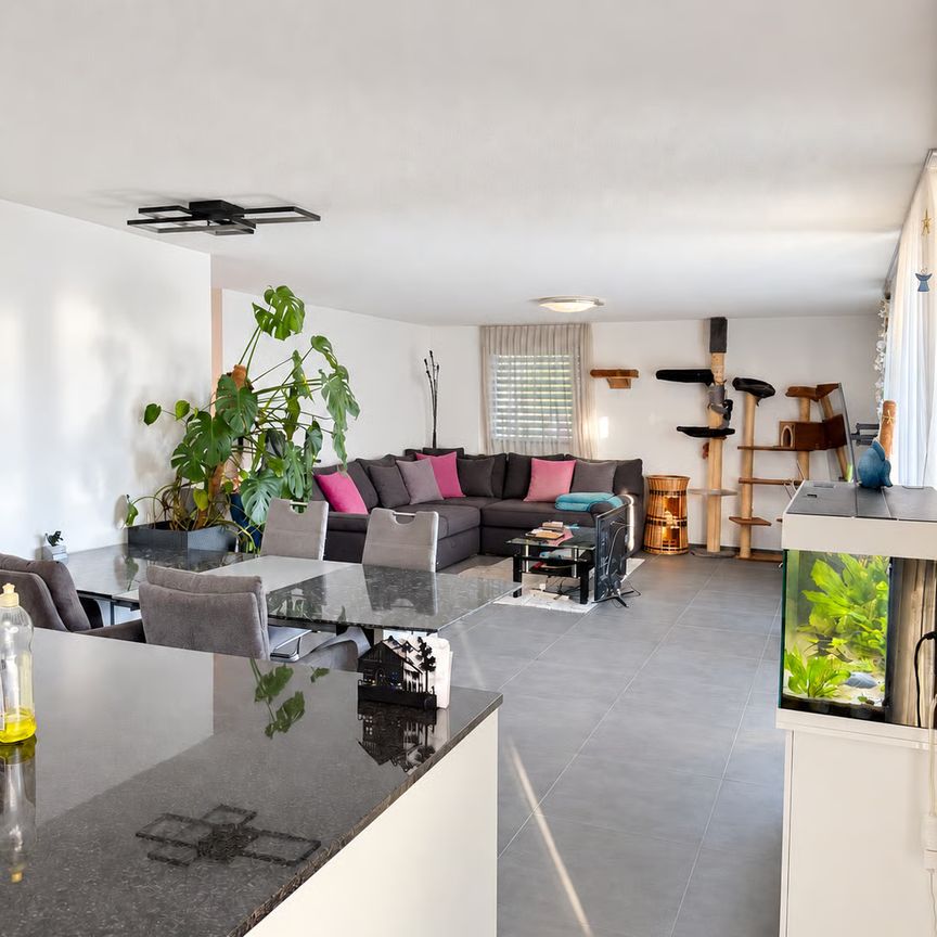 3.5 Zimmer, 110 m², 1. Stock - Foto 1