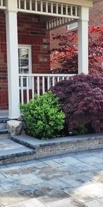 For Lease - 568 Speyer Circle, Milton, Ontario - Photo 4