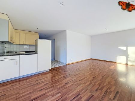3.5 Zimmer, 66 m², EG - Foto 2