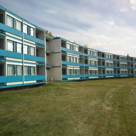 Only 15 min walk to U of C, SAIT & Foothills Hospital - Photo 1