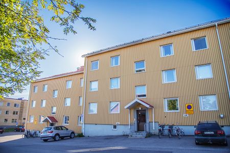 Källvägen 3 A, 94140, Piteå - Photo 5