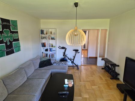 Norra Bergvägen, Skövde - Foto 4