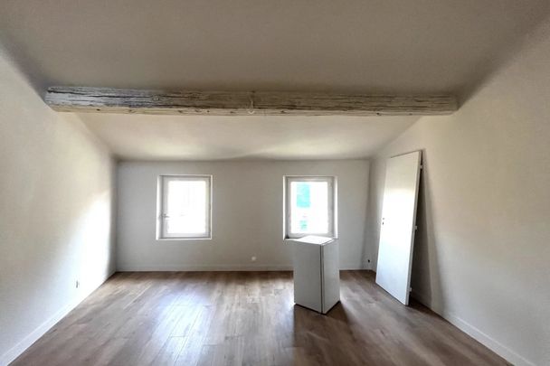 2 pieces meublé avec terrasse - Photo 1