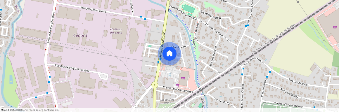 BOURG EN BRESSE 01000