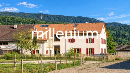 Belle maison familiale entièrement rénovée avec jardin à Jussy - Photo 4