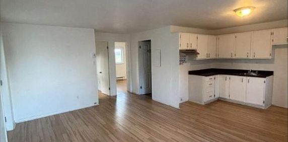 2 CH - 1 SDB - Sainte-Hélène-de-Bagot - $975 /mo - Photo 2
