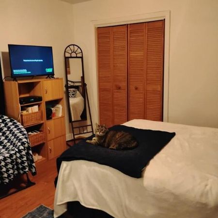 4 1/2 - Montréal (Montréal-Nord) - 1 520 $/mois - Photo 3