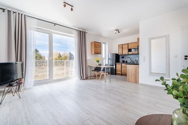 Mieszkanie do wynajęcia 1 pokoje Parkowa, Biedrusko 35.2 m² - Фото 1