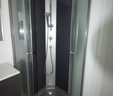 Location Appartement 1 pièce 19m² ST DENIS 97490 - Photo 5
