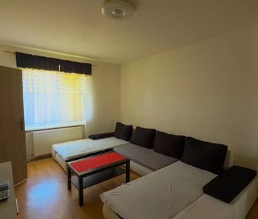 Pronájem bytu 2+1, 47+ m², Bruntál - Švermova, park přímo u domu - Photo 1