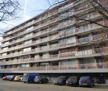 Kornalijnhorst 0ong, 2592 Den Haag, Nederland - Foto 1
