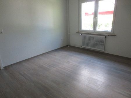 Schnuckelige kleine Wohnung in Aplerbeck - Photo 3