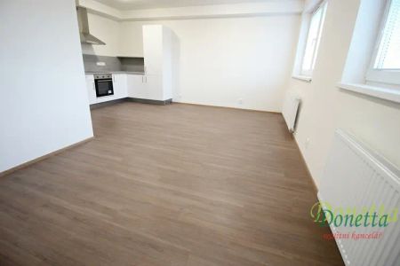 Pronájem ateliéru 3+kk se zahradou, 77 m - Fotografie 2