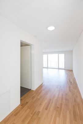 1½-Zimmerwohnung im Parterre mit Waschturm / 37,4 m2 - Photo 1