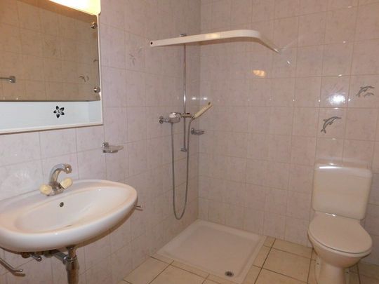 JOLI STUDIO A SAVIESE - Photo 1