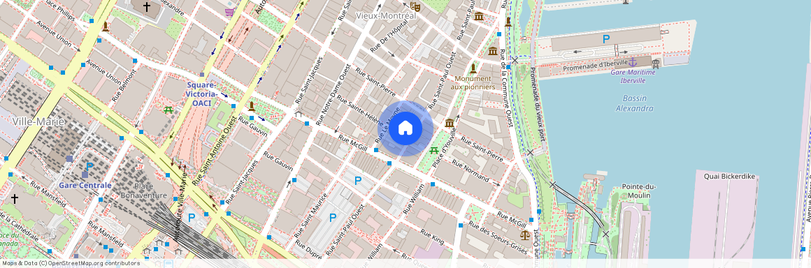 389 Rue St Paul O., Montréal (Ville-Marie), QC H2Y