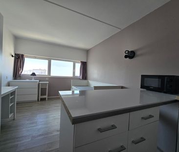 Location Appartement 1 pièce 17m² - Photo 4