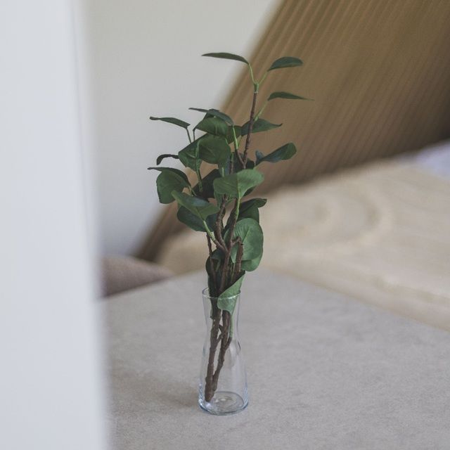 Studio Flat, Kelvin Road, N5 - Photo 1