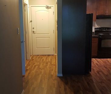 Nutana - 1 Bedroom/ 1 Bathroom Condo - 1013 Lansdowne Ave. - Photo 1