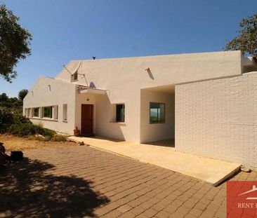 Alquiler de casa o chalet independiente en Calle Cañada de las Palomas - Photo 6