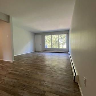 Spacious Newly Renovated 2 Bedroom Near Downtown - Photo 4