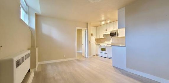 1 bedroom basement apartment unit in Kitsilano Vancouver - Photo 2