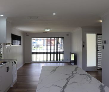 Beautifully renovated family home with huge shed - Photo 5