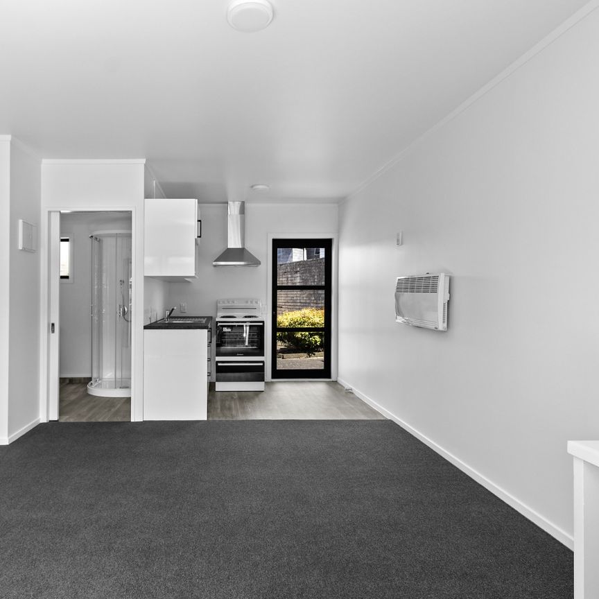 31B, Beatty Street, Hamilton, 3206, Melville - Photo 1