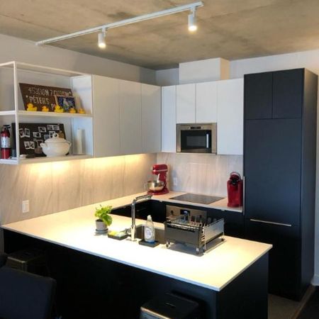 3 1/2 - Montréal (Ville-Marie (Centre-ville)) - 1 700 $/mois - Photo 3