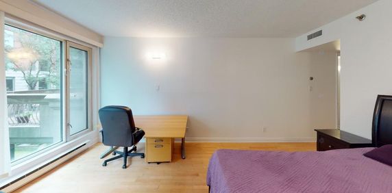X-Large balcony, Appliances, Concordia University Oasis de ville - Condo / apartment for rent Montreal Ville-Marie - Photo 2