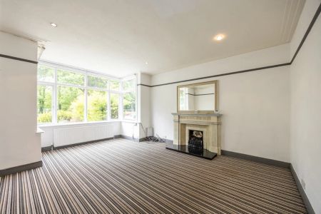 6 Upper Malone Road - Photo 3